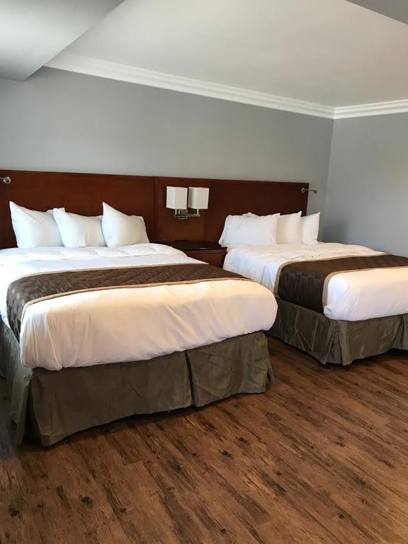 Rex Motel Ventura Kültér fotó